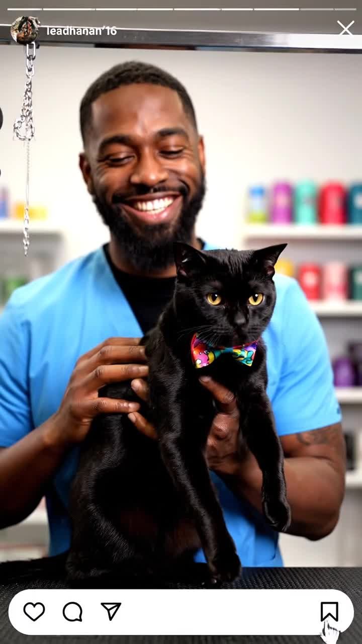 A scroll-stopping thumbnail visual for upcoming cat grooming appointments and routine update posts.